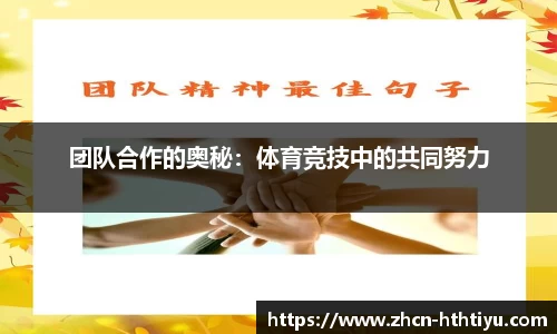 团队合作的奥秘：体育竞技中的共同努力